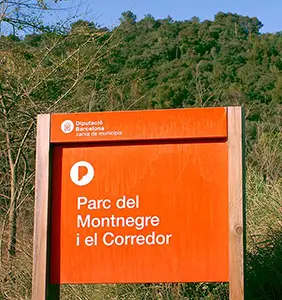 Rutes senderisme Parc Natural Montnegre - excursions casa rural Can Jordi