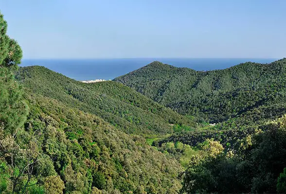 Bosc Parc Natural Montnegre casa rural Can Jordi - entorn natural privilegiat Catalunya